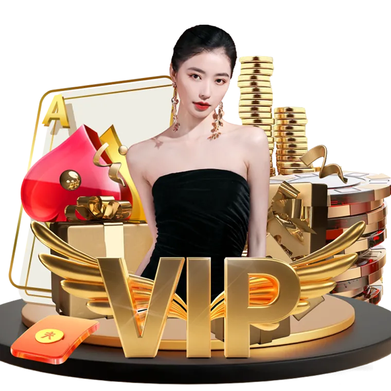 Phdream Privacy Policy